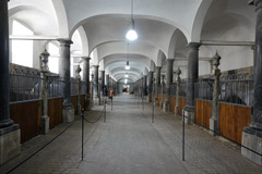 The Stables at Christiansborg Palace