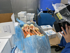 Greenland : Snow Crab