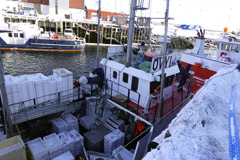 The port of Nuuk : A fisherman's boat