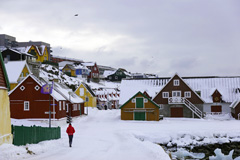 Greenland : Colorful houses
