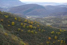 La vallée de la rivière Cherni Voda, vue depuis le monastère de Glozhene en Bulgarie