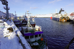 Tournage au Groenland : le port de Nuuk : un bateau de pêche