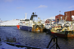 Le Groenland : le port de Nuuk