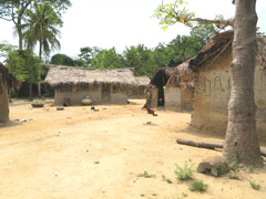コートジボワールの中部で見かける一般な村