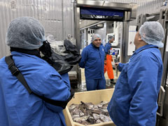 グリーンランドの漁業