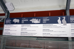 グリーンランド